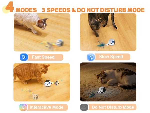 interactive cat toy