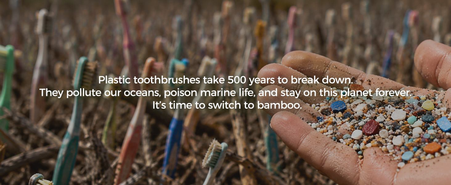 Bamboo toothbrush