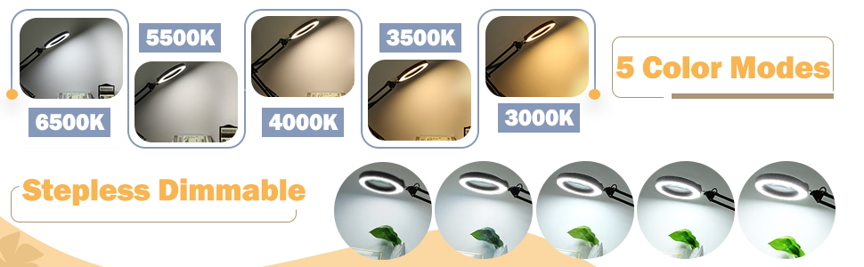 lighted magnifying glass