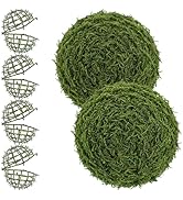 Housoutil 4 Inch Topiary Ball Frame for Artificial Plant Ball Support, 6Pcs Floral Sphere Cage fo...