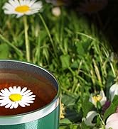 IDEUS camping mug