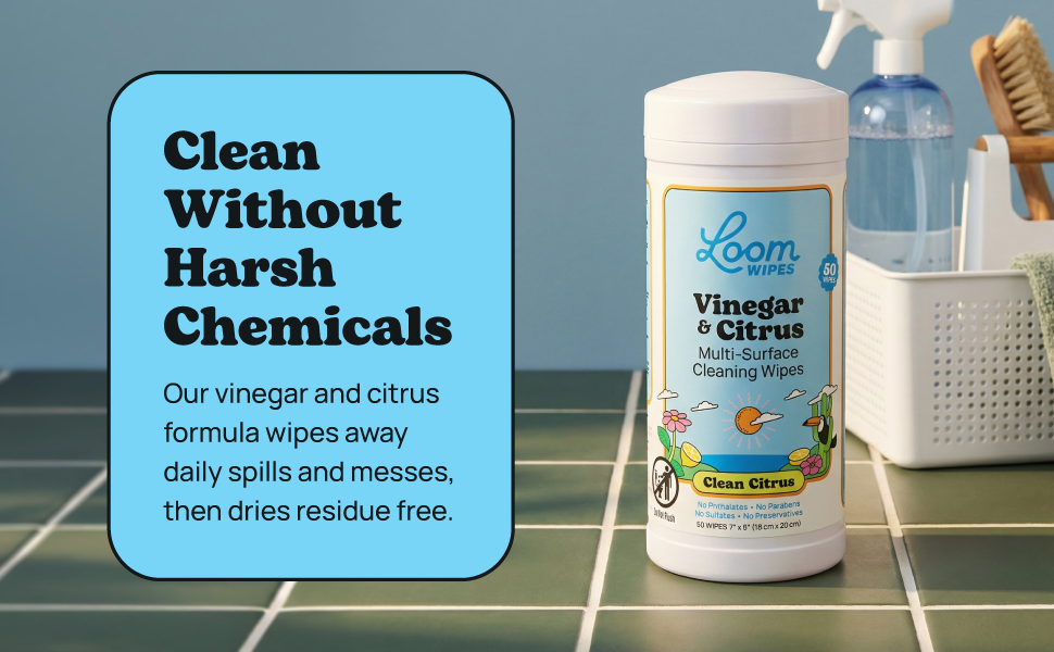 Vinegar for cleaning purpose, vinegar cleaning wipes, food safe wipes canister on counter by sink