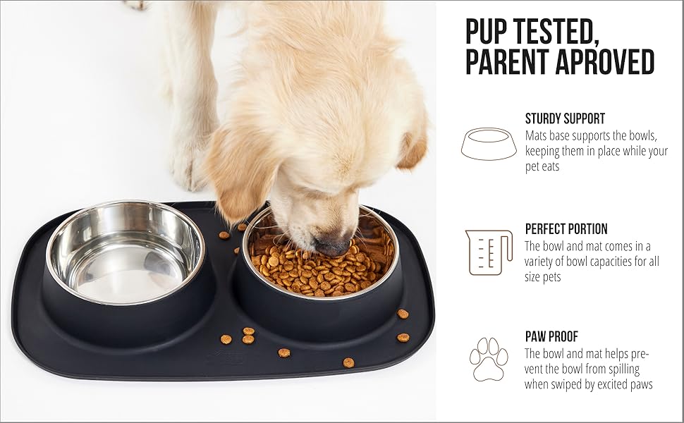 golden retriever dog eating dog food out of dog bowl in dog bowl mat set