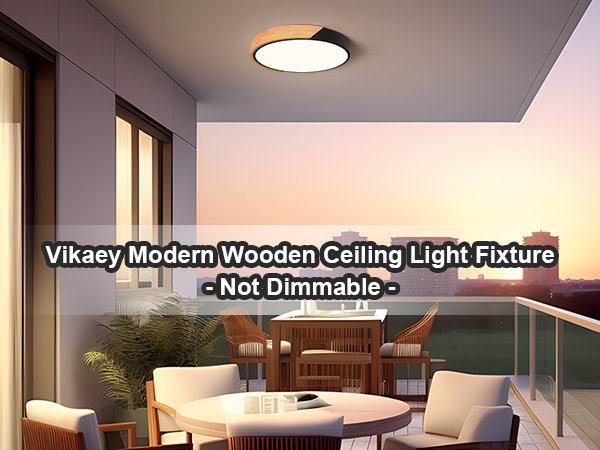 flush mount ceiling light