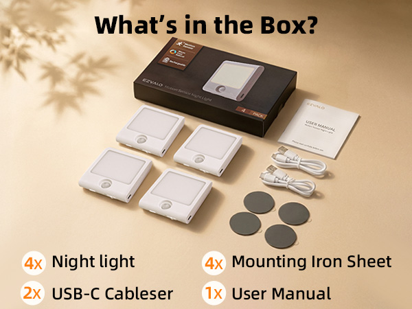 motion activated light