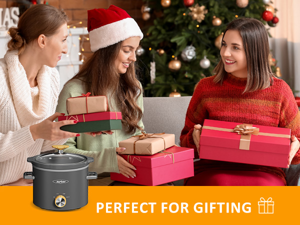 2 Quart Slow Cooker, Small Slow Cooker with Removable Ceramic Pot