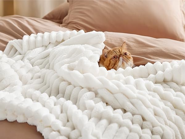 Throw blanket for couch