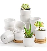 Tosnail 12 Pack 2.5 Inch Small Succulent Pots with 12 Bamboo Trays, Round White Ceramic Mini Plan...