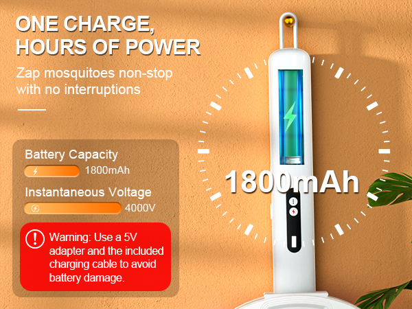 electric fly swatter