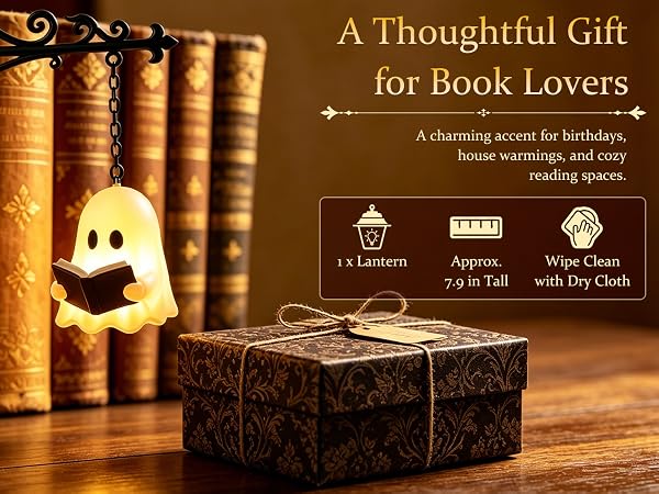 lantern bookshelf light