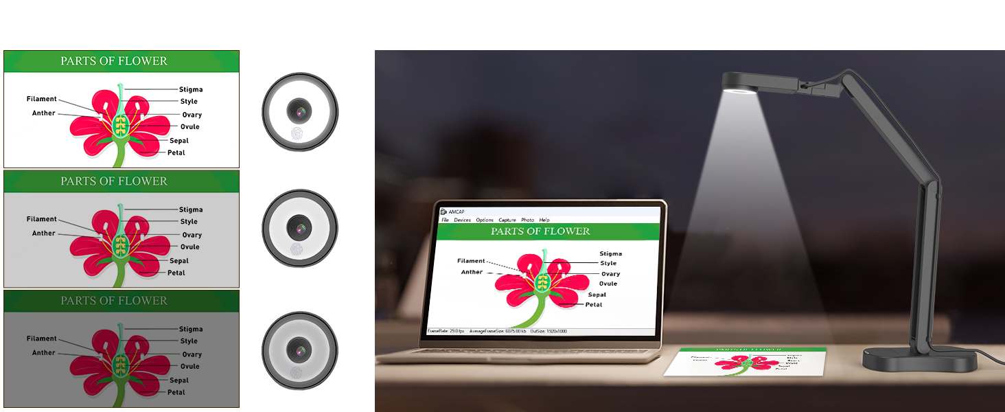 USB document camera teachers classroom teaching 8mp 4K art gift webcam school student visualiser