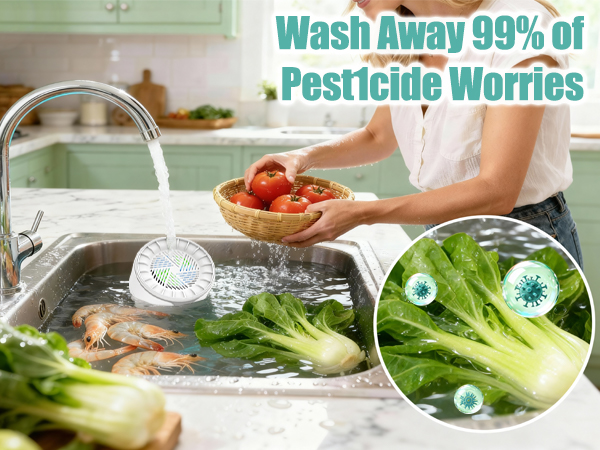 Fruit and Vegetable Washing 