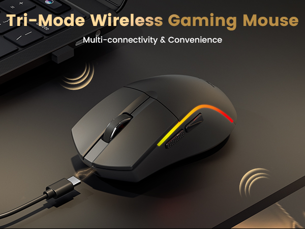 Wireless Gaming Mouse
