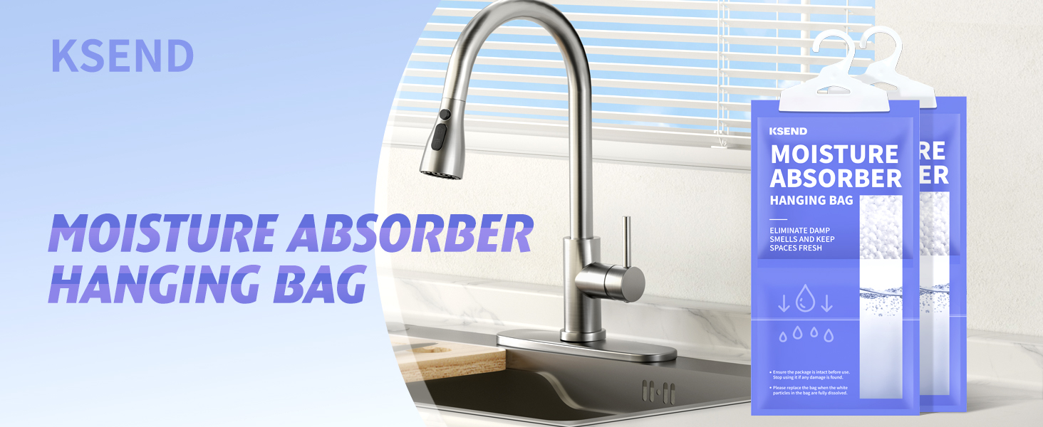 damp rid hanging bag