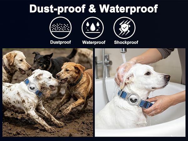 air tag dog