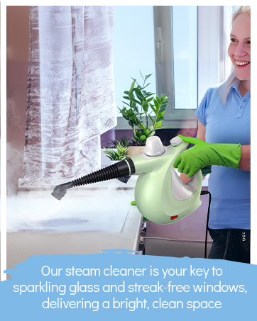 steam cleaner