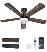 Minthouz Ceiling Fans with Lights, 42 inch Ceiling Fan with Light with APP/Remote Control, 6000K ...
