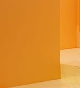 XHDATA D808 Portable shortwave radio with ssb