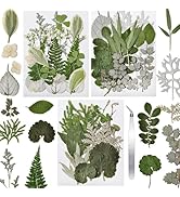 CONVELIFE 63 Pcs Pressed Leaves, 21 Styles Dried Flowers for Resin, Natural Dry Leaves for Presse...
