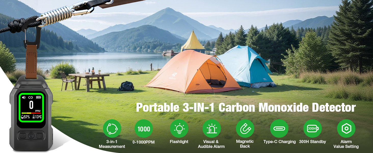 Portable Carbon Monoxide Detector