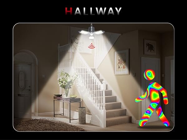 motion sensor light