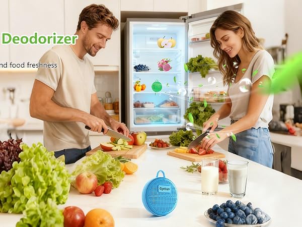 fridge deodorizer