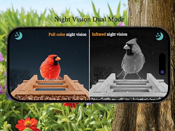 full color night vision birdhouse