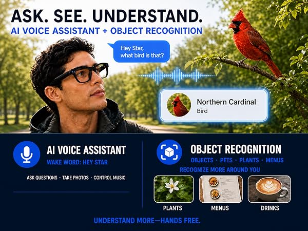 ai glasses