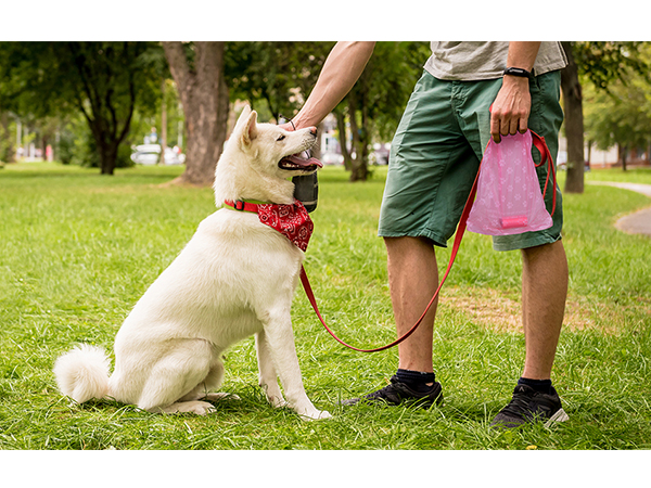dog poop bags rolls pink