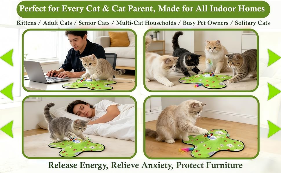 Kittens / Adult Cats / Senior Cats / Multi-Cat Households / Busy Pet Owners / Solitary Cats