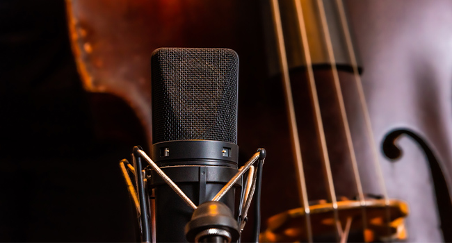 still crop shot of a microphone in front of a stand up bass