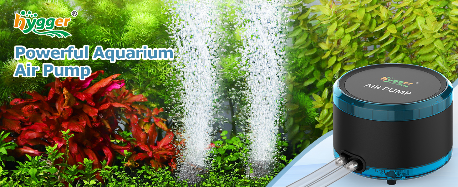 aquarium air pump