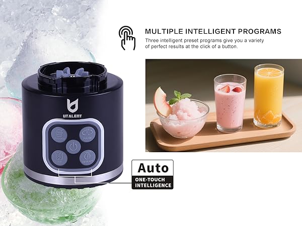 MULTIPLE INTELLIGENT PROGRAMS