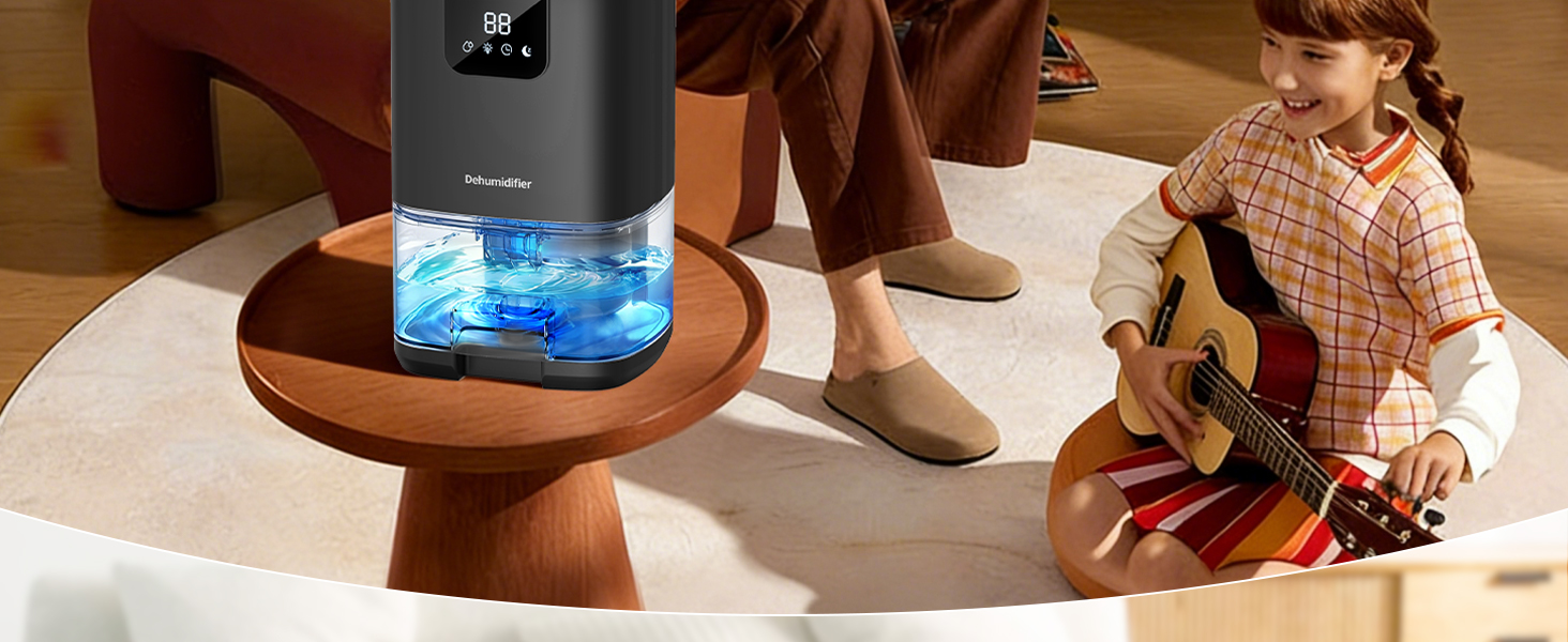 dehumidifiers for home