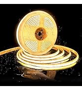 Pandery Outdoor LED Strip Lights,2700K Warm White,24V IP67 LED Strips,32.8FTt/10M,CRI90+ Waterpro...