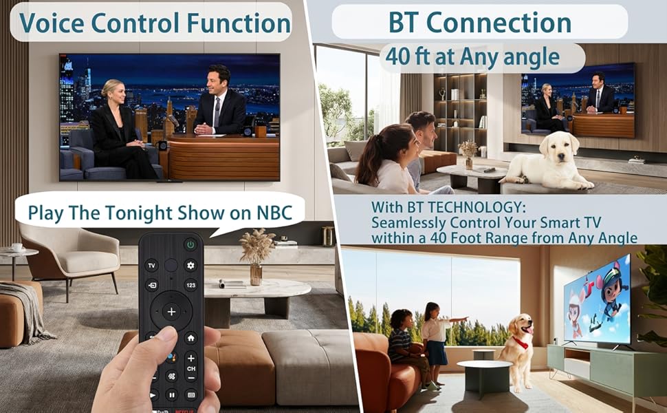 Sony voice control