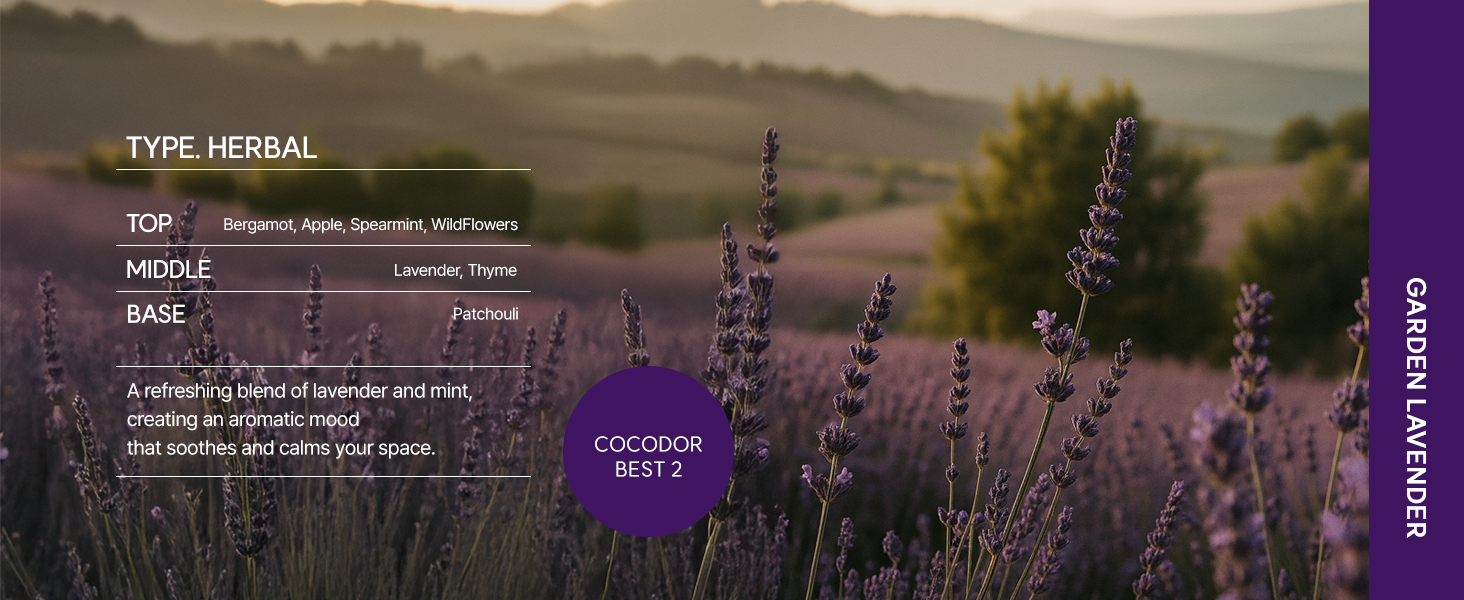 Garden Lavender