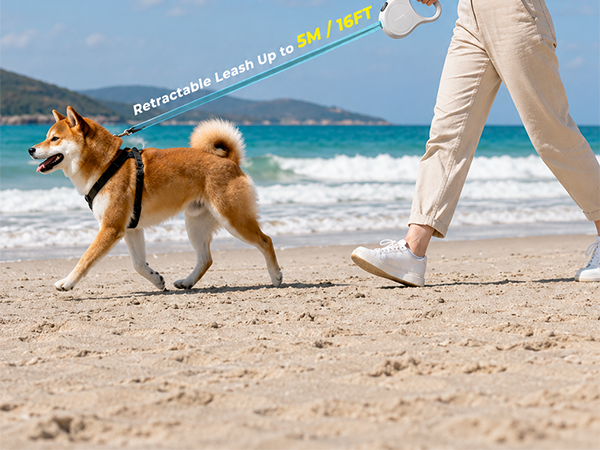 dog leash for small dogs
