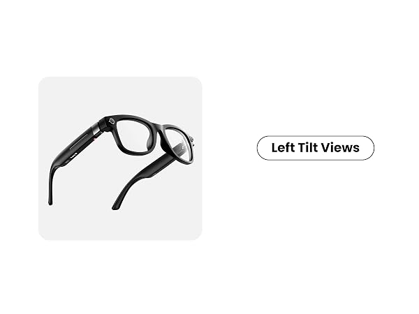 Left Tilt Views