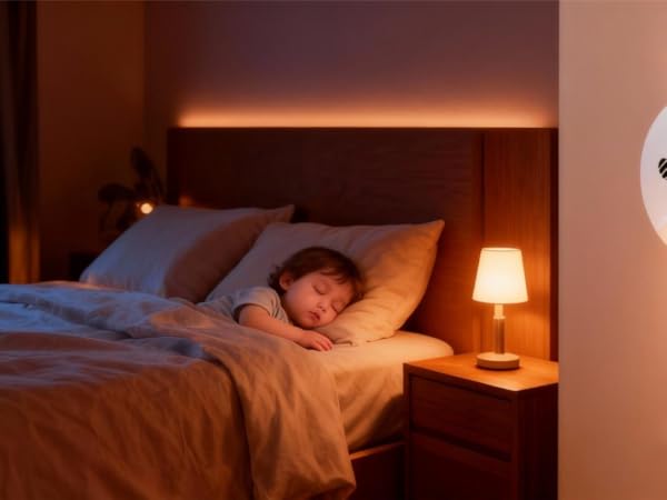 4 Pack Combination Smoke and Carbon Monoxide Detector Battery Operated