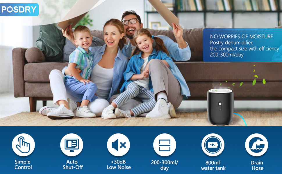 Dehumidifiers for Home