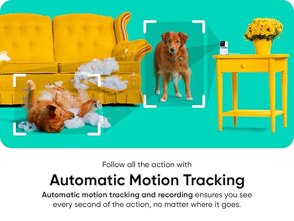Wyze Cam Pan v3 Motion Tracking