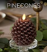 pinecone
