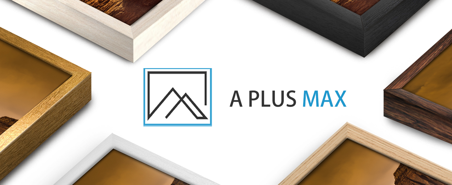 A PLUS MAX LOGO