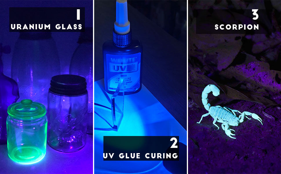 uv light flashlight