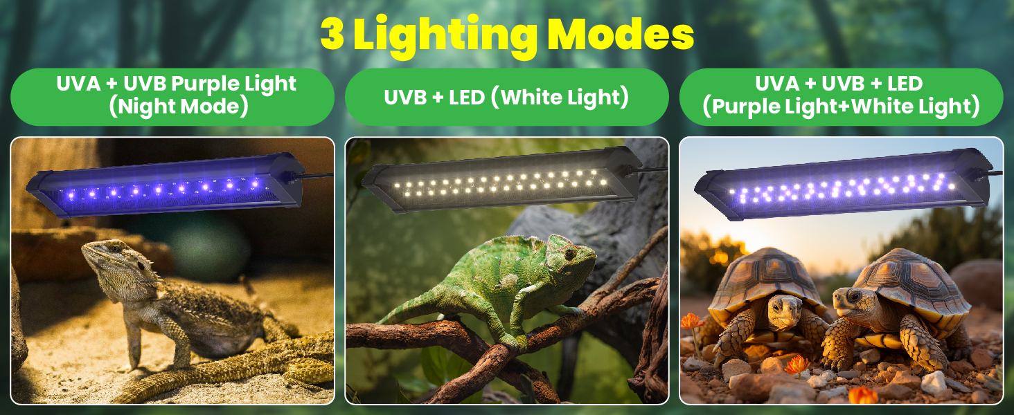 uvb light for reptiles