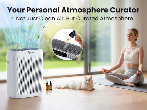 Aromatherapy Diffuser