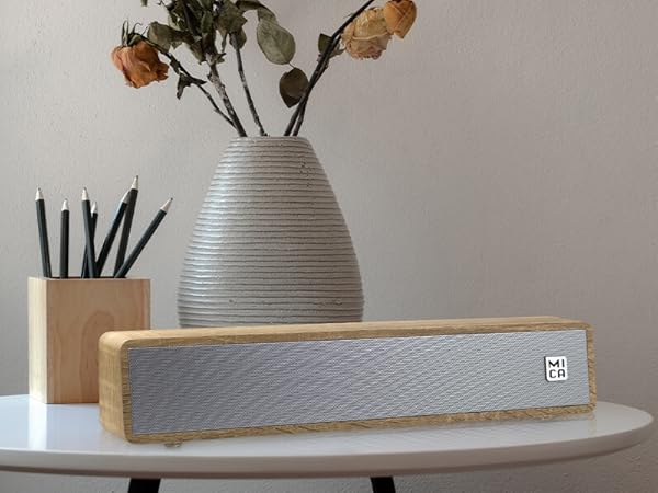 MICA Computer Speakers