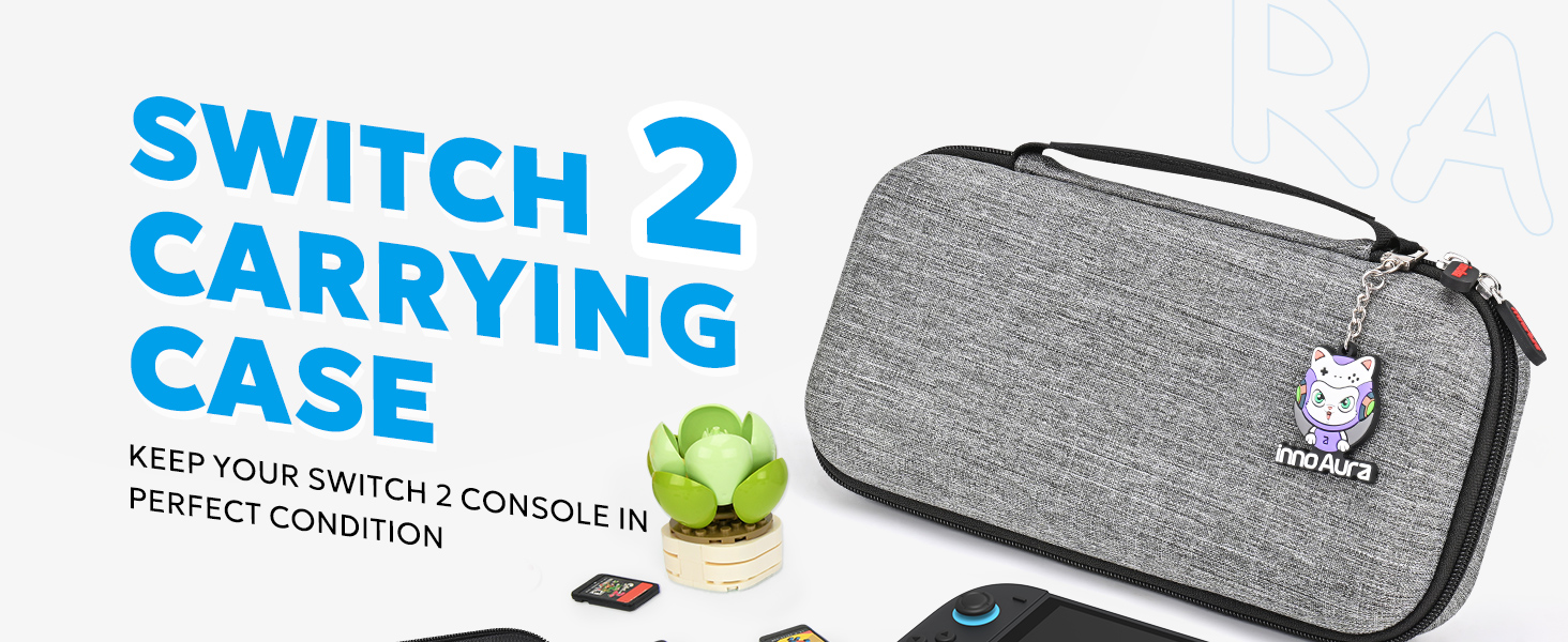 switch 2 case gray