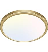 zemty LED Ceiling Light Golden - 12In 28W Aureate Flush Mount Ceiling Light, 3 Color Temperature ...